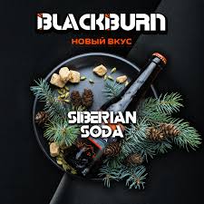 Black Burn 200 g Siberian Soda (Лимонад Байкал)